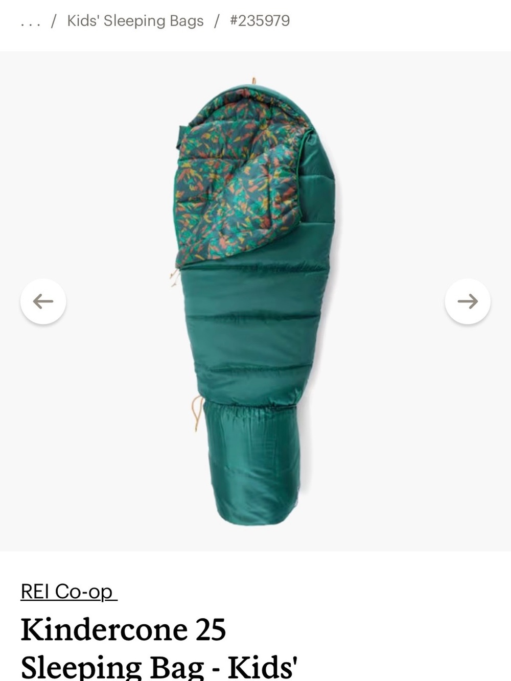 REI Co-op Kids Sleeping Bag in Teal with Multicolor Leaf Lining